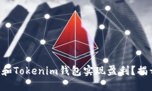 如何通过TP和Tokenim钱包实现盈利？揭开神秘面纱！