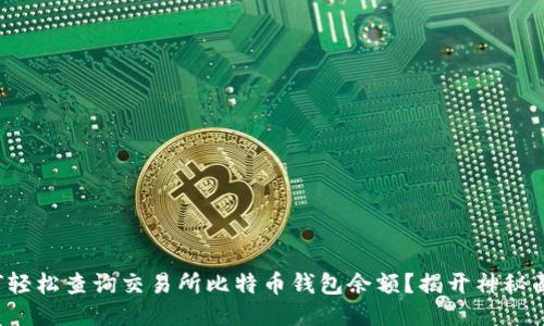 如何轻松查询交易所比特币钱包余额？揭开神秘面纱！