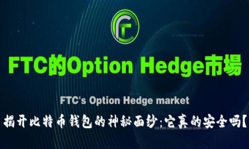 揭开比特币钱包的神秘面纱：它真的安全吗？