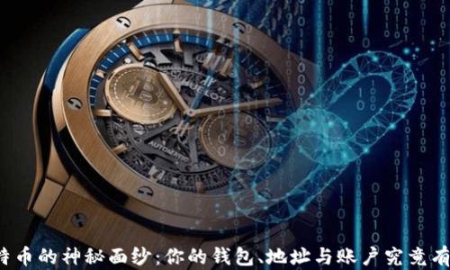 
揭开比特币的神秘面纱：你的钱包、地址与账户究竟有何不同？