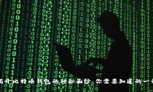 揭开比特币钱包的神秘面纱：你需要知道的一切