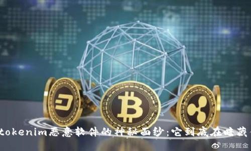 揭开tokenim恶意软件的神秘面纱：它到底在暗藏什么？