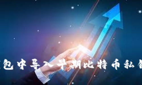 题目：如何在现代钱包中导入早期比特币私钥？揭秘成功的背后！