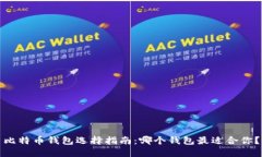 比特币钱包选择指南：哪