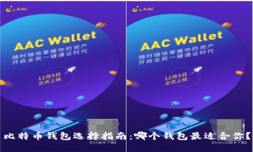比特币钱包选择指南：哪个钱包最适合你？