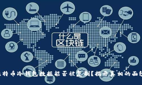 比特币冷钱包数据能否被复制？揭开真相的面纱！