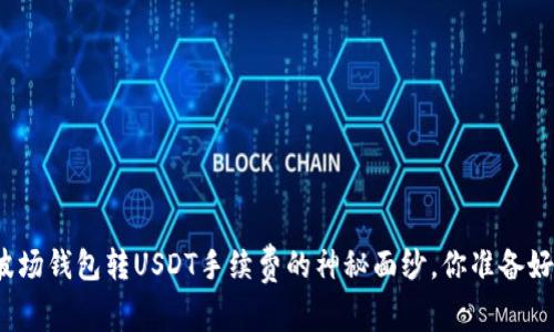 揭开波场钱包转USDT手续费的神秘面纱，你准备好了吗？