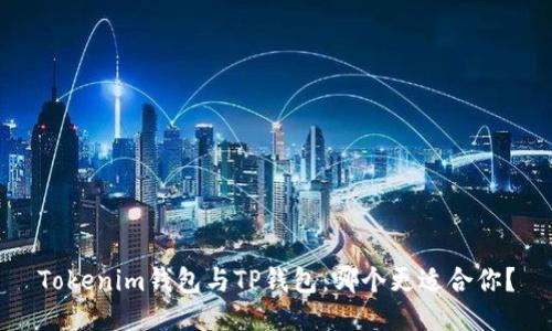 Tokenim钱包与TP钱包：哪个更适合你？