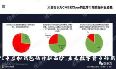 揭开PI币虚拟钱包的神秘面