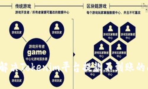 如何解决Tokenim平台提款不到账的问题？