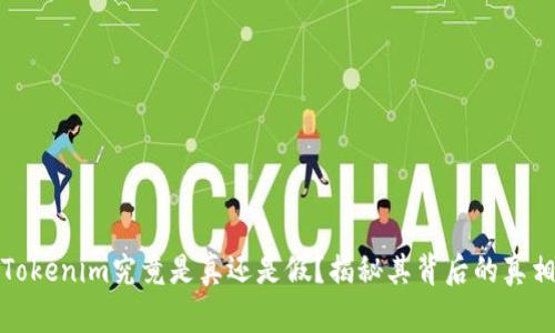 Tokenim究竟是真还是假？揭秘其背后的真相