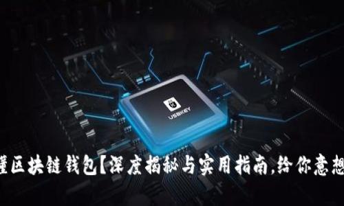 你是否真的懂区块链钱包？深度揭秘与实用指南，给你意想不到的惊喜！