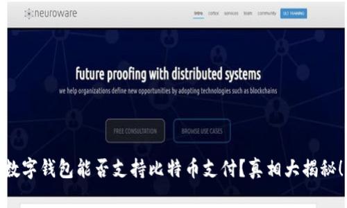 数字钱包能否支持比特币支付？真相大揭秘！