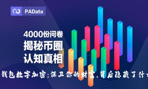 比特币钱包数字加密：保卫你的财富，背后隐藏了什么秘密？