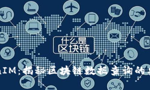 探索TokenIM：揭秘区块链数据查询的奥秘与应用