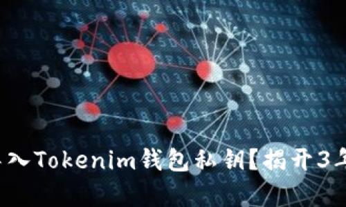 如何安全导入Tokenim钱包私钥？揭开3年前的秘密！