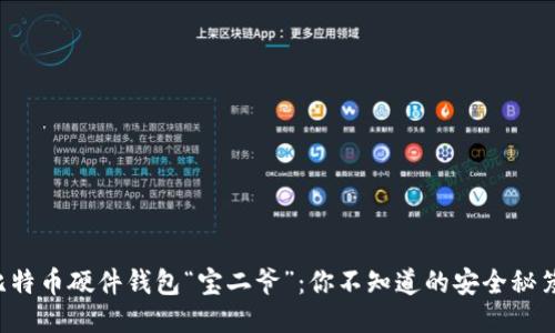 比特币硬件钱包“宝二爷”：你不知道的安全秘笈！