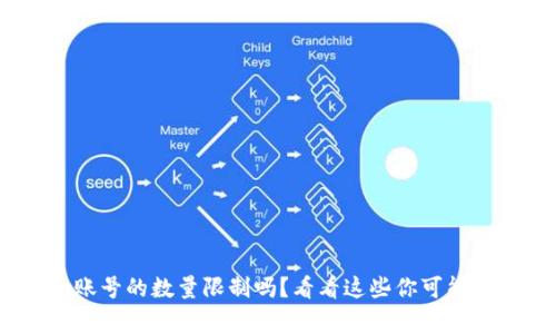 你知道Tokenim账号的数量限制吗？看看这些你可能从未想到的事实！