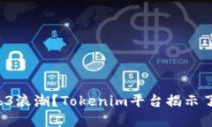 如何追赶Web3浪潮？Tokeni