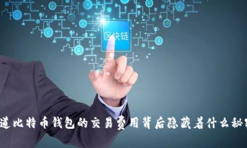 你知道比特币钱包的交易费用背后隐藏着什么秘密吗？