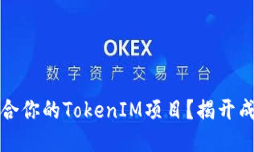 如何选择最适合你的TokenIM项目？揭开成功背后的秘密