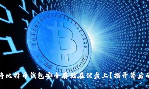 如何将比特币钱包安全存储在优盘上？揭开背后的秘密