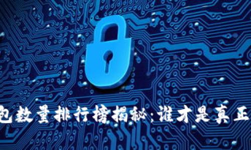 比特币钱包数量排行榜揭秘：谁才是真正的“富翁”？