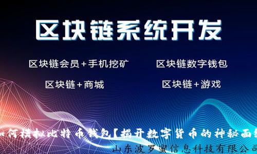 如何模拟比特币钱包？揭开数字货币的神秘面纱