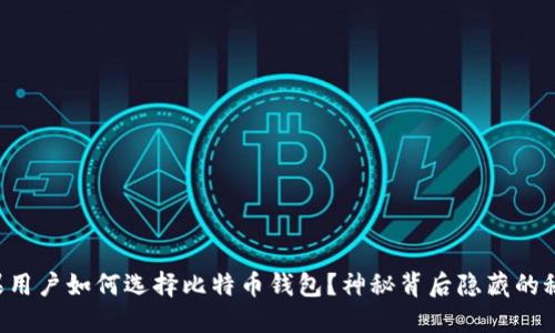 国内苹果用户如何选择比特币钱包？神秘背后隐藏的秘密揭晓！