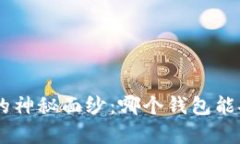 揭开数字钱包的神秘面纱