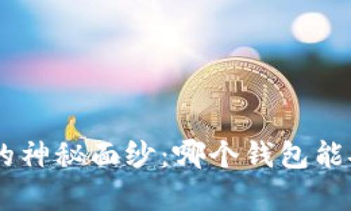 揭开数字钱包的神秘面纱：哪个钱包能安全存放USDT？