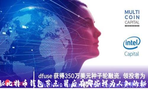 
揭秘比特币钱包节点：背后有哪些鲜为人知的秘密？