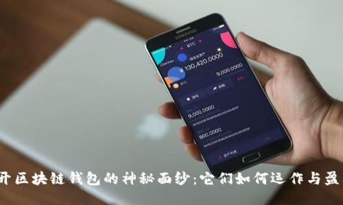 揭开区块链钱包的神秘面纱：它们如何运作与盈利？