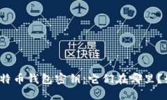 流浪的比特币钱包密钥：
