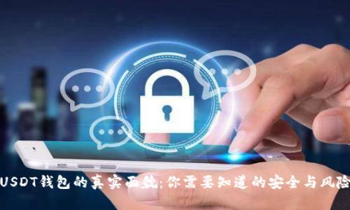 USDT钱包的真实面貌：你需要知道的安全与风险