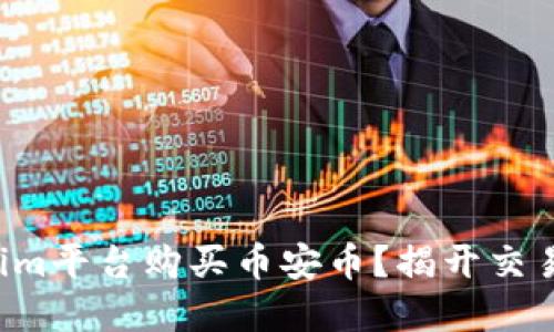如何在Tokenim平台购买币安币？揭开交易的神秘面纱！