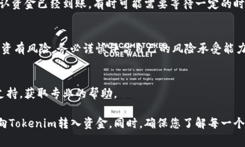 在讨论如何将资金投入Tokenim或其他加密货币平台之前，有几个步骤和注意事项需要了解。以下是一些基本步骤和信息，供您参考：

### 1. 创建账户
确保您在Tokenim平台上已经创建了账户。通常，您需要提供一些基本信息并完成身份验证。

### 2. 选择支付方式
Tokenim通常支持多种支付方式，包括：
- 银行转账
- 信用卡/借记卡支付
- 加密货币转账（如果您已有其他加密资产）

### 3. 准备资金
确保您将要用于投资的资金已经准备好，并确认您所在国家/地区的法律法规允许进行相关交易。

### 4. 存入资金
根据您选择的支付方式，您可以按照以下步骤进行操作：

#### 银行转账
如果选择使用银行转账，您需要找到Tokenim提供的银行账户信息。在您的银行应用中，输入这些信息并确认转账。

#### 信用卡/借记卡
如果您使用信用卡或借记卡，登录您的Tokenim账户，前往“充值”或“存款”页面，输入您的卡信息，确保您使用的是安全的网络。

#### 加密货币转账
如果您选择使用加密货币，您需要复制您在Tokenim平台上显示的充值地址，然后在您的钱包中发送相应的资金。

### 5. 确认交易
在完成转账后，您应查看您的Tokenim账户，确认资金已经到账。有时可能需要等待一定的时间，特别是在使用银行转账或加密货币转账时。

### 6. 注意风险
在投资之前，请切记加密货币市场波动较大，投资有风险，务必谨慎评估自己的风险承受能力。

### 7. 寻求帮助
如有疑问或问题，请随时联系Tokenim的客服支持，获取专业的帮助。

以上步骤提供了一个基本的框架，帮助您顺利向Tokenim转入资金。同时，确保您了解每一个环节，以避免不必要的损失或麻烦。