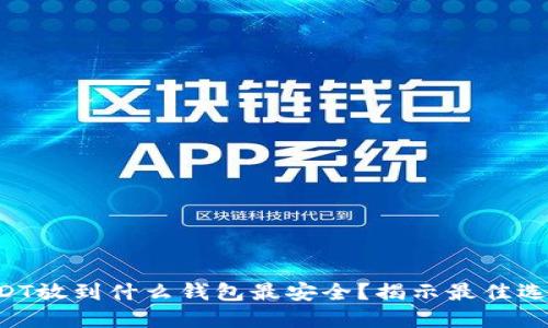USDT放到什么钱包最安全？揭示最佳选择！