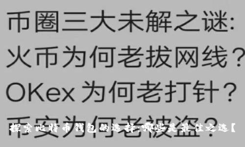 探索比特币钱包的选择：哪些是最佳之选？