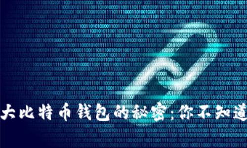 揭开全球最大比特币钱包的秘密：你不知道的背后故事