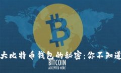揭开全球最大比特币钱包