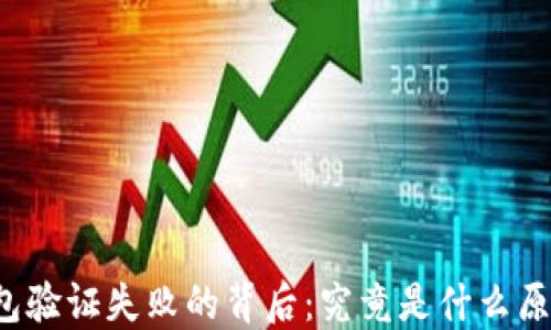 
比特币钱包验证失败的背后：究竟是什么原因造成的？