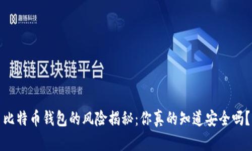 比特币钱包的风险揭秘：你真的知道安全吗？
