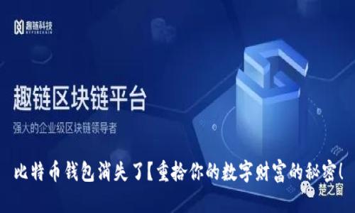 比特币钱包消失了？重拾你的数字财富的秘密！