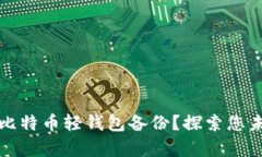 如何轻松恢复比特币轻钱