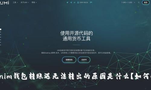tokenim钱包转账遇无法转出的原因是什么？如何解决？