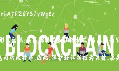 比特币钱包的密钥主要有两种：私钥（Private Key）和公钥（Public Key）。这两种密钥的位数如下：

1. **私钥**：比特币私钥通常是256位的二进制数，常用16进制表示时，私钥长度为64位字符。例如，一个有效的比特币私钥可能会是这样的形式：
   ```
   5JbY1sY7BxtG9L8M44dotddca78YwdjcfgcPrbA7PZ6YB1vWgEc
   ```

2. **公钥**：公钥是通过私钥生成的，通常以两种形式出现：未压缩格式和压缩格式。未压缩的公钥通常为130个字符，而压缩公钥为66个字符。

在比特币交易中，私钥非常重要，因为它控制着钱包内的比特币。因此，保护好私钥极为关键，丢失私钥意味着失去对钱包内资产的控制。