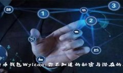 比特币钱包Wylcao：你不知