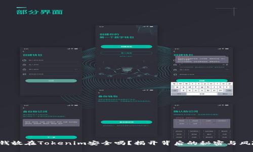 把钱放在Tokenim安全吗？揭开背后的秘密与风险！