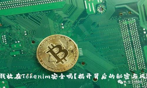 把钱放在Tokenim安全吗？揭开背后的秘密与风险！